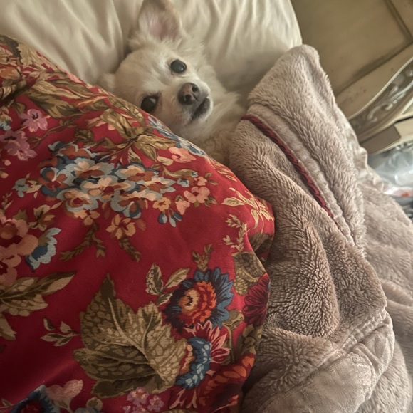 ✨MY BIG WHY✨ - Picture 3 of 16